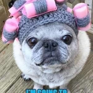 Meet your Posher, Jeanne